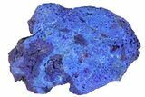 Vivid Blue, Cut/Polished Azurite Nodule - Siberia #94569-1